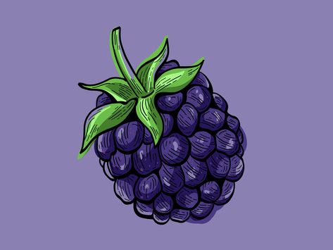 Fresh Blackberry Fruit by Hoot Design Studio Purple Fruit Drawing, Blackberry Drawing Simple, Blackberry Painting, Blackberry Drawing, Blackberry Illustration, Blackberry Aesthetic, Blackberry Art, Spooky Fruit, Berry Drawing