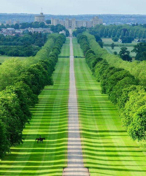 The Long Walk, Windsor Castle Berkshire England, The Long Walk, Visiting England, Long Walk, Ulsan, England And Scotland, Windsor Castle, Beautiful Castles, English Countryside