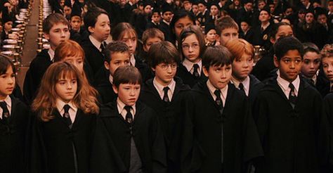 This Sad "Harry Potter" Theory Explains Why Hogwarts Class Sizes Are So Small Harry Potter Theories, Hogwarts Classes, Film Harry Potter, Hogwarts Uniform, Harry Potter Wiki, Hogwarts Christmas, Harry Potter Pin, Hogwarts Crest, Hogwarts Aesthetic