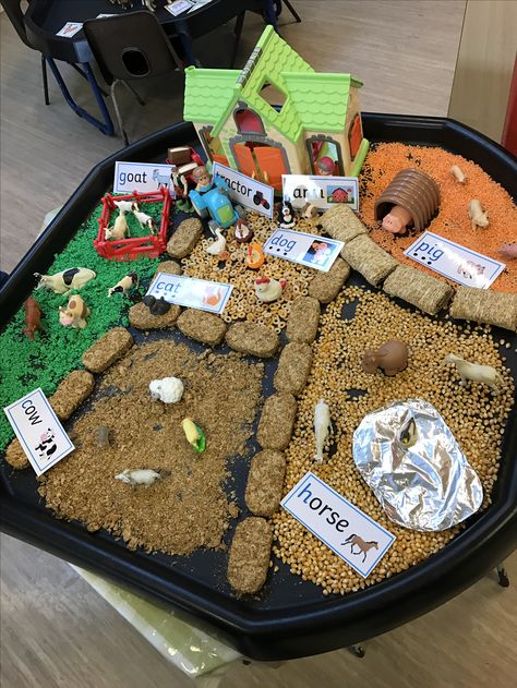 Farm Tough Tray Ideas, Old Mc Donald Had A Farm Activities, On The Farm Eyfs, Farm Tough Tray, What The Ladybird Heard Activities, What The Ladybird Heard, World Book Day Activities, Farmer Duck, Farm Activities Preschool