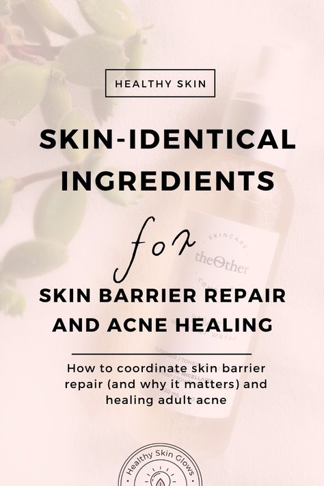 How to heal skin barrier repair, why it matters for clearing up adult acne and my fave products with skin-identical ingredients! via @healthyskinglows Heal Skin Barrier, Healing Acne, Acne Routine, Skin Barrier Repair, Natural Acne Remedies, Best Skin Care Routine, Natural Exfoliant, Best Skincare Products, Healthy Glowing Skin