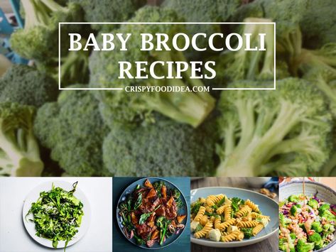 21 Easy Baby Broccoli Recipes For Dinner or Lunch - Crispyfoodidea Broccoli Recipes For Dinner, Baby Broccoli Recipe, Baby Broccoli, Recipes For Dinner, Broccoli Recipes, Popular Recipes, Low Carb Keto, Weight Watchers, Broccoli