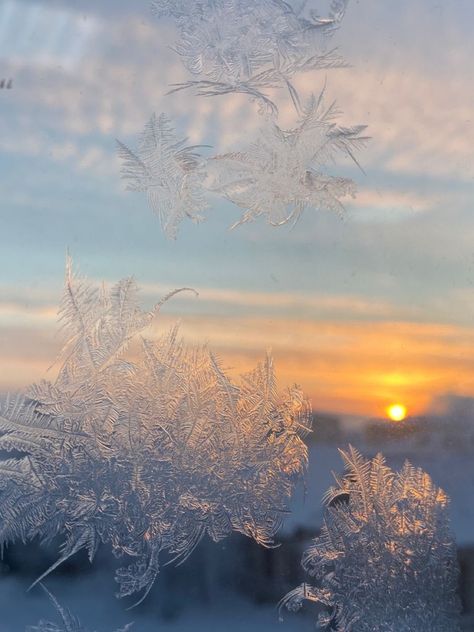 winter Sunrise tattoo #zicxa-photos #zicxa #images #background #wallpaper #freepik #shutterstock #VN Sunrise Tattoo, Harry Styles Photoshoot, The 1989 World Tour, Winter Sunrise, Sunrise Pictures, Snow Flower, Snow Photography, Gold Aesthetic, Healing Arts