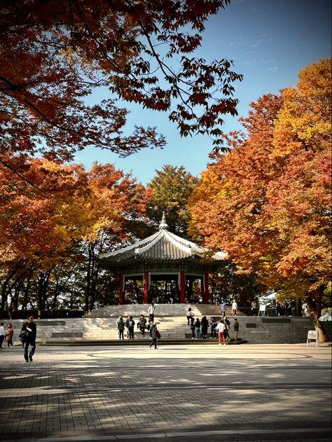 Fall in Seoul, South Korea #foliage #autumncolors #autumn #fall #namsan #seoul #travel #aesthetic #nature Fall In Seoul, Seoul Travel, Aesthetic Nature, Seoul South Korea, Travel Aesthetic, Autumn Fall, Fall Colors, Seoul, South Korea