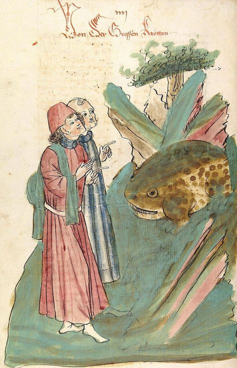 Medieval Frog, Mr Toad, Early Modern Period, Frog Art, Medieval Manuscript, Medieval Art, Illuminated Manuscript, Read Image, 15th Century