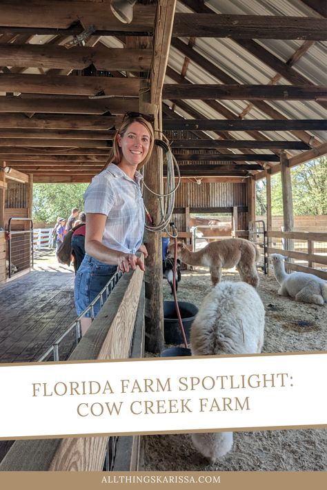 Agritourism Farms, Farm Tourism, Florida Farm, Farm Resort, Cow House, Cattle Farm, Farm School, Florida Adventures, Farm Lifestyle