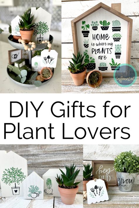 Plant Crafts To Sell, Plant Ideas To Sell, Plant Gifts Diy, Plant Themed Crafts, Diy Plant Gifts, Plant Crafts For Adults, Plant Seed Gift Ideas, Plant Gifts Ideas, Diy Gifts For Plant Lovers