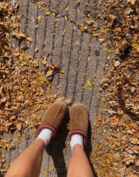 fall aesthetic Uggs Ugh Slippers Outfits, Ugg Aesthetic, Uggs Aesthetic, Aesthetic Uggs, Fall Slippers, Ugg Tazz Slippers, Platform Outfit, Tazz Slippers, Slippers Ugg