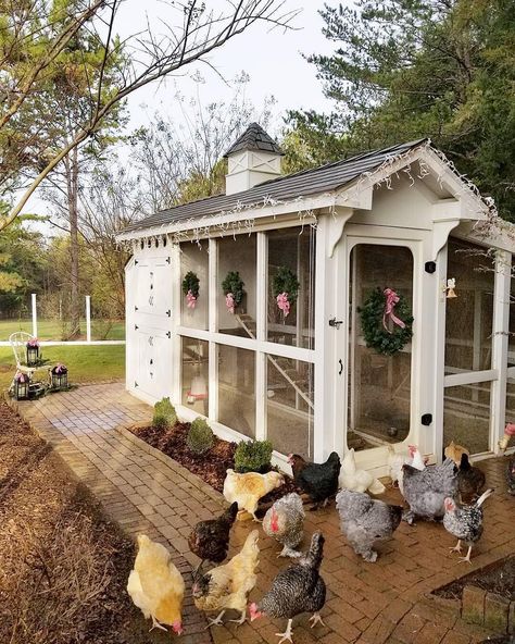 39.7k Likes, 1,120 Comments - Better Homes & Gardens (@betterhomesandgardens) on Instagram: “Pretty coop = happy chickens : @happydaysfarm” Backyard Plans, Cute Chicken Coops, Chicken Coop Garden, Chicken Coop Decor, Chicken Home, Portable Chicken Coop, Backyard Chicken Coop Plans, Coop Design, Best Chicken Coop