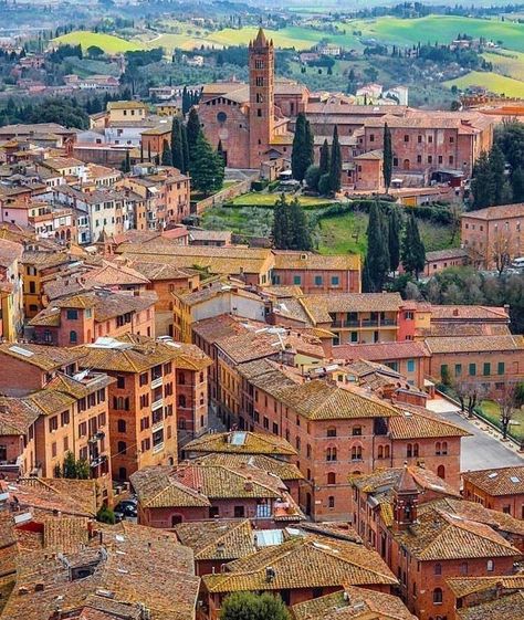 Sienna Italy, Italy Elopement, Pretty Views, Palermo Sicily, Siena Italy, Living In Italy, Verona Italy, Venice Travel, Italy Aesthetic