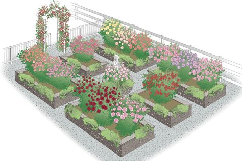 While materials used for construction may vary, a formal rose garden always looks beautiful. This design presents 16 different rose bushes and 2 climbing roses selected for color, fragrance, or form. Similar gardens using this design may be built of wood or by simply opening planting beds in a turf-grass lawn. The arbor invites guest to enter its special space. Copyright ©2001 by Dolezal & Associates. All Rights Reserved. grownbyyou.com Rectangle Garden Design Landscaping, Raised Bed Rose Garden, Roses In Raised Beds, Rose Garden Design Layout Flower Beds, Rose Garden Design Layout, Rectangle Garden Design, Circular Bed, Gardens Backyard, Rose Garden Design