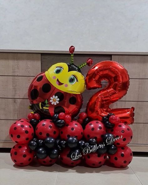 Ladybug Balloon Bouquet, Ladybug Balloons, Ladybug Birthday Decorations, Ladybug Birthday Theme, Bday Themes, Ladybug Birthday Party, Ladybug Theme, Cute Ladybug, Simple Birthday Decorations