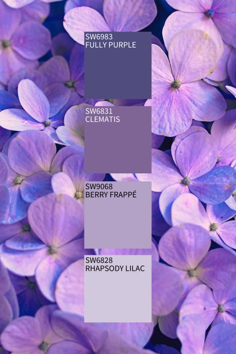 Color Mixing Chart, Purple Color Palettes, Hex Color Palette, Color Catalog, Color Schemes Colour Palettes, Paint Color Palettes, Casa Exterior, Color Palette Design, Color Harmony