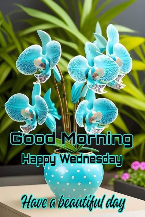 Good Morning Happy Wednesday, Wednesday Morning Greetings, Wednesday Hump Day, Morning Wednesday, Good Morning Wednesday, Good Morning Greeting Cards, Good Morning Happy Sunday, Good Morning Animation, Good Morning Wishes Quotes