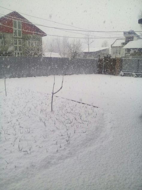 Fresh snowfall in srinagar breaks long dry spell in Kashmir. Fresh Snowfall, Srinagar