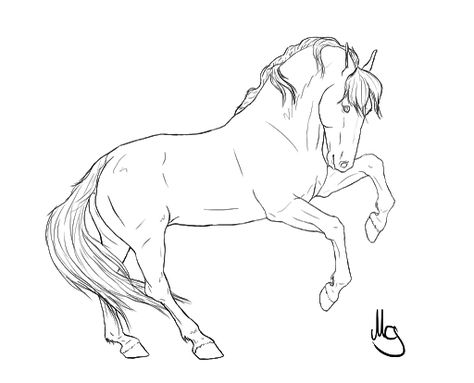 Horse Lineart, Horse Art Drawing, Horse Sketch, Horse Coloring Pages, Horse Tattoo, Horse Drawing, Horse Drawings, Sketch Inspiration, Wild Horse