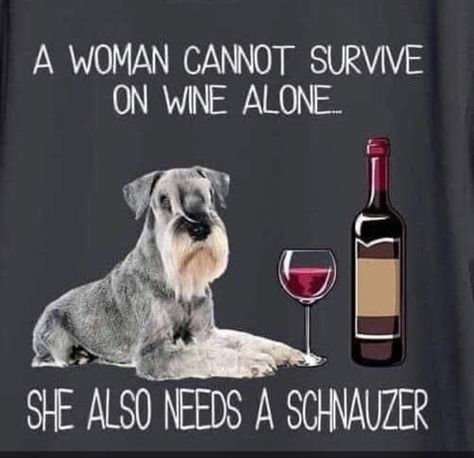 Schnauzer Quotes, White Miniature Schnauzer, Puppy Boy, Schnauzer Grooming, Best Dog Names, Schnauzer Art, Mini Schnauzer Puppies, Standard Schnauzer, Mini Schnauzers