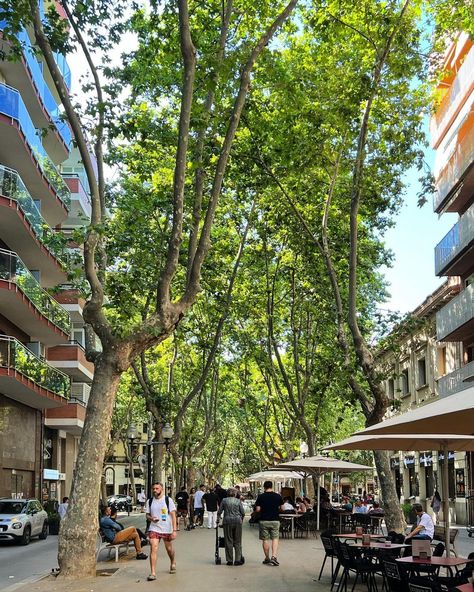 CITY OF BARCELONA (@cityofbarcelona) posted on Instagram: “- Rambla del Poblenou - #barcelona #bcn #barna #bcncity #bcnlovers #barcelonacity #cityofbarcelona #bcn_turisme #barcelonainspira…” • Jul 2, 2022 at 8:52am UTC Barcelona City, Georgetown University, Exchange Student, Business School, Barcelona, Street View, Collage, On Instagram, Pins