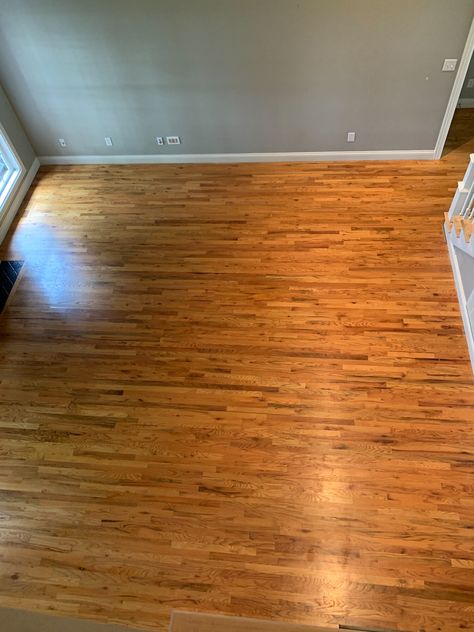 Natural White Oak Floors, Oak Floor Living Room, Oak Floor Stains, Staining Wood Floors, Red Oak Hardwood Floors, Orange Floor, Red Oak Floors, Red Oak Hardwood, Old Wood Floors