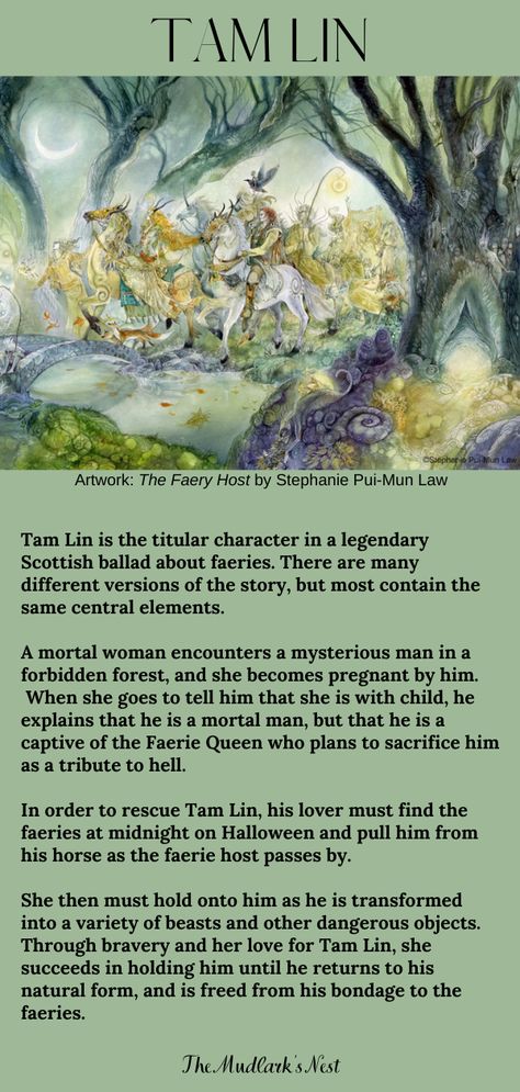 Tam Lin is an old fairy ballad from the borderlands of Scotland. #tamlin #balladoftamlin #scottishballads #fairyballads #fairysongs #themudarksnest Fairies Mythology, Fairy Quotes, Tam Lin, Forbidden Forest, Borderlands, Mythical Creatures, Book Series, Scotland, Fairy Tales