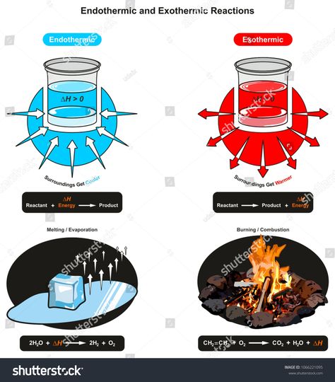 Endothermic and Exothermic Reactions infographic diagram showing relation between reactant energy and product also examples of ice cube melting and fire burning for chemistry science educationrelation#showing#energy#reactant Endothermic And Exothermic Reactions, Endothermic And Exothermic, Physical Science Projects, Infographic Diagram, Ice Cube Melting, Exothermic Reaction, Nuclear Fusion, Mechanical Energy, Chemistry Lessons