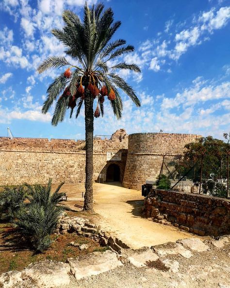 Zuzi Sekveldiová on Instagram: “Othello Castle 🏛️ one more photo from the yesterday's trip 📸 . . . . . #cyprus #northcyprus #famagusta #famagustacyprus #oldtown #trip…” Famagusta Cyprus, North Cyprus, Cyprus, Old Town, Old Photos, More Photos, Monument Valley, Castle, Dream House