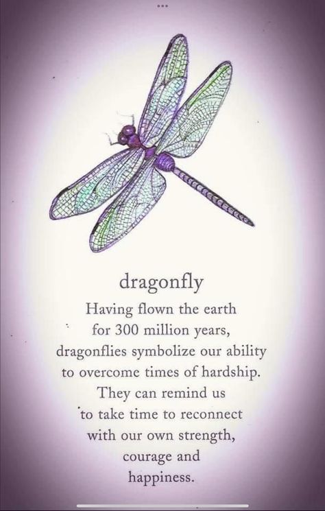 Words For Sympathy Card, Dragonfly Symbolism, Dragonfly Quotes, Dragonfly Artwork, Dragonfly Tattoo Design, Butterfly Quotes, Dragonfly Dreams, Tasteful Tattoos, Dragonfly Art