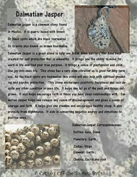 Dalmatian Crystal, Gemsona Ideas, Healing Ideas, Wicca Spells, Spiritual Items, Dalmatian Stone, Crystal Power, Crystal Guide, Supernatural Beings