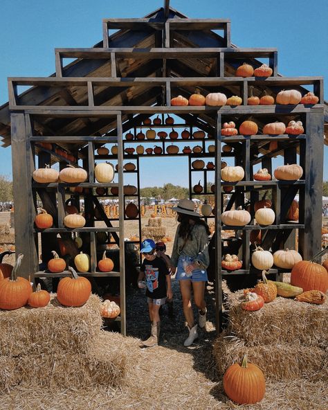 📍 @uhlandfallfest 🚂 Barrel Train 🐮 Petting Zoo 🌽 Corn Pit 🌀 Hay Bale Maze ⛰️ Hay Bale Mtn 🛍️ Food & Shop Vendors 🎸 Live music 🍹 VIP area 📸 & so many photo ops + pumpkin patch of course! Same fall festival we knew and loved in Drip just moved down the road to Kyle and bigger! #texasfall #texaspumpkinpatch #fallfestival #texas #texashillcountry Hay Bale Maze, Barrel Train, Pumpkin Festival, Petting Zoo, Hay Bales, Halloween 2024, Texas Hill Country, Food Shop, Fall Festival