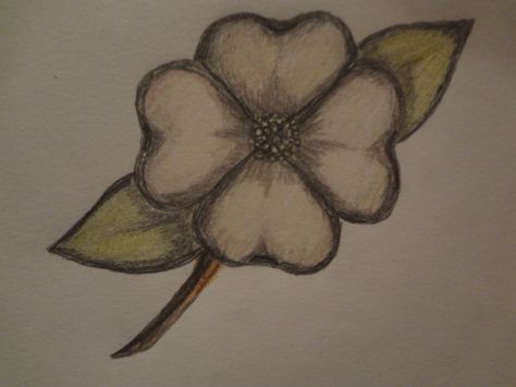 This is one of the easiest flowers to draw.  Simply start with an X.       From the edge of one line start rounding out the top of the pedal.  You will want to make the round edge drop in the middle.  It will look almost like a heart.        After... Running Drawing, Dogwood Flower, Flower Drawings, Dogwood Flowers, Butterfly Drawing, Plant Drawing, Learn How To Draw, Art Drawings For Kids, Simple Doodles