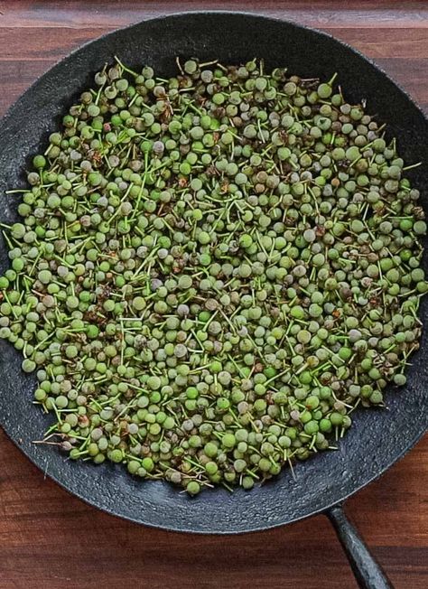 Tilia americana Forager Chef, Desert Foraging, Black Walnut Foraging, Foraging Uk, Wild Food Foraging Edible Plants, Medicinal Herbs Remedies, Cottagecore Recipes, Easy Custard, Wild Food Foraging