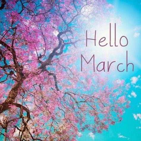 Bonjour Mars, Hello March Images, Hello March Quotes, March Images, March Quotes, Monthly Quotes, Photos For Facebook, Hello March, March Month