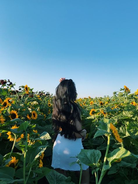 Sunflower Aesthetic, Summer Sunflower, Sunflower Fields, Nature Lover, Sunflower, Photography, Beauty, Quick Saves, Bonito