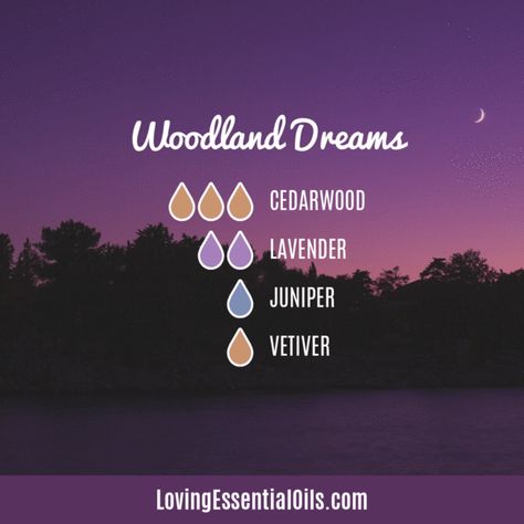 Vetiver Essential Oil Diffuser Blend - Woodland Dreams - EO Spotlight by Loving Essential Oils Vetiver Essential Oil Uses, Siberian Fir, Essential Oil Combinations, Vetiver Essential Oil, Oils For Sleep, Essential Oil Diffuser Recipes, Oil Diffuser Recipes, Cedarwood Oil, Citrus Essential Oil