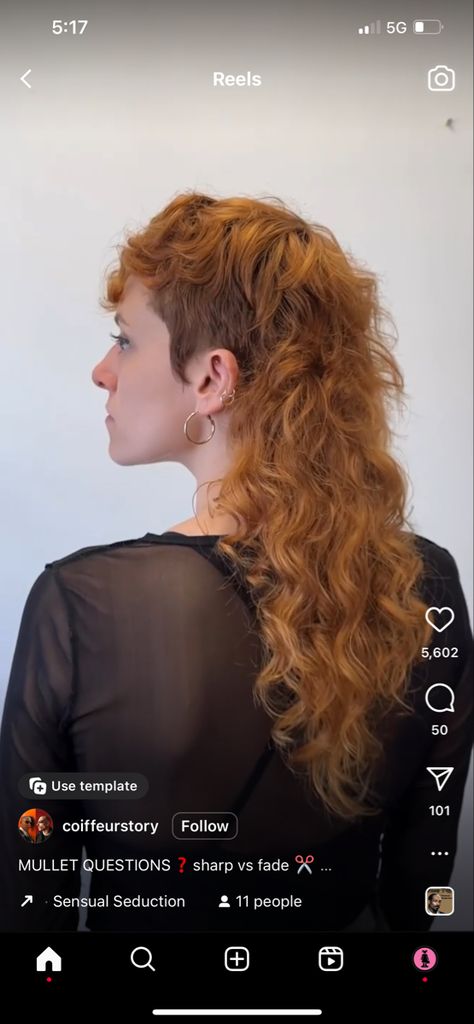 Long Alternative Haircut, Alternative Haircuts, Mullet Long, Curly Hair Mullet, Haircuts Long, Mohawk Mullet, Sensual Seduction, Hair Mullet, Mullet Haircut