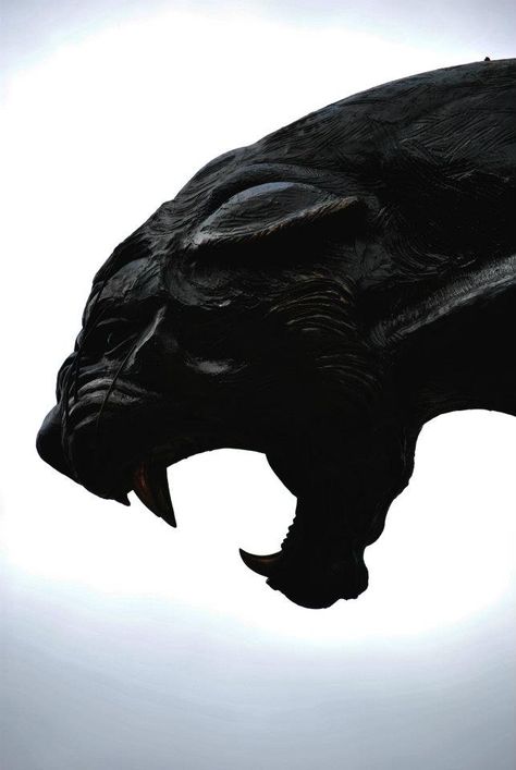 Carolina Panthers Panther Statue, Panther Nation, Carolina Panthers Football, Panther Art, Black Panther Art, Panthers Football, Black Jaguar, Carolina Panthers, Doberman