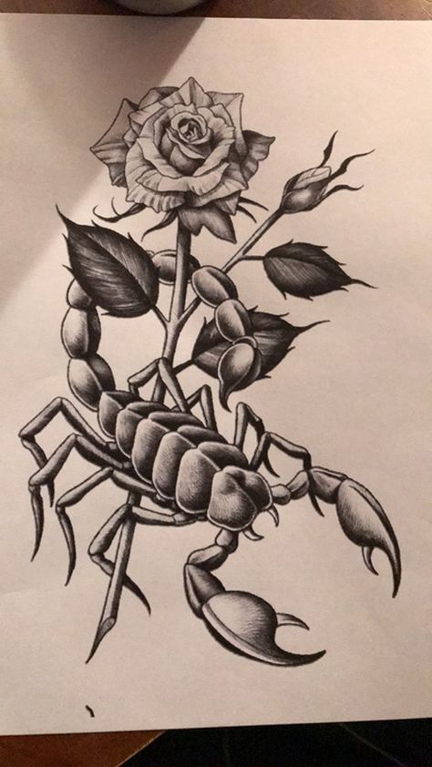 Scorpion Holding Rose Tattoo, Flower And Scorpion Tattoo, Tattoos For Scorpios, Scorpion Rose Tattoo, Scorpion Tattoo Drawing, Scorpio Drawing, Scorpion Drawing, Scorpion Tattoo Design, Scorpio Zodiac Tattoos