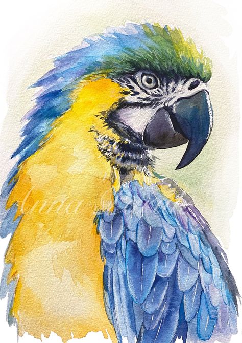 Watercolor Parrot Painting, Macaw Painting, Ara Parrot, Parrot Watercolor, Watercolour Bird, Parrot Painting, Hummingbird Painting, Flamingo Painting, Parrots Art