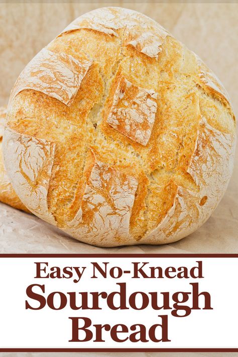 No Knead Sourdough Bread, No Knead Sourdough, Easy Sourdough Bread, Easy Sourdough Bread Recipe, Recipes With Yeast, Fresh Baked Bread, Making Sourdough Bread, Sourdough Starter Discard Recipe, Knead Bread Recipe