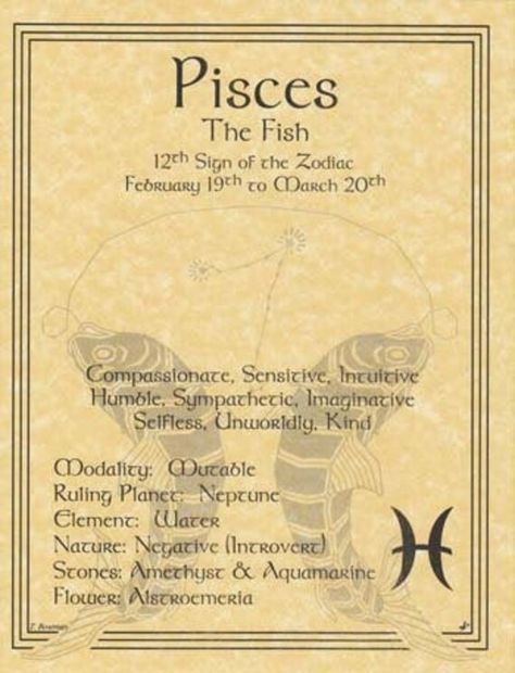 Pisces Woman Art, March Pisces, All About Pisces, Color Energy, Zodiac Poster, Animal Zodiac, Pisces Zodiac Sign, Born In March, Pisces Girl