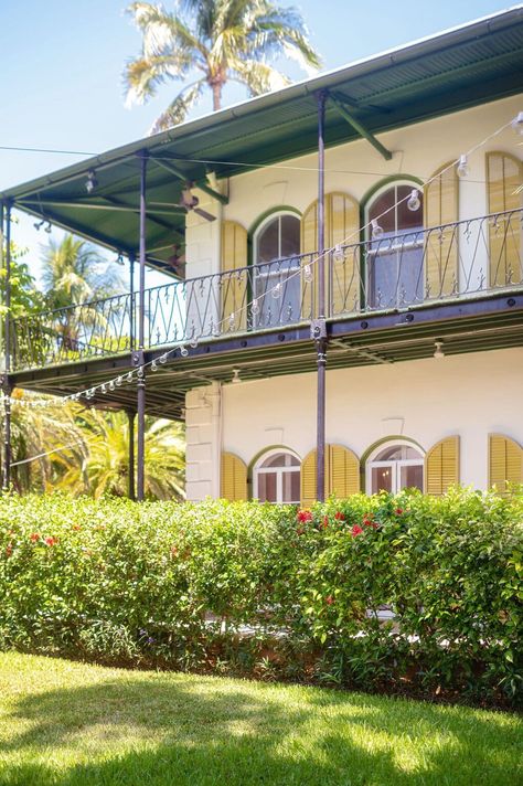 Should You Visit the Hemingway House Cats in Key West? Hemingway House Key West, Ernest Hemingway Books, Hemingway Cats, Keywest Florida, Hemingway House, Home Museum, Polydactyl Cat, House Cats, Cat Key