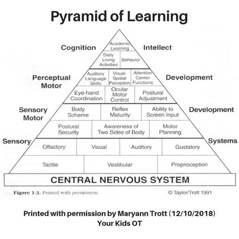 The importance of the Pyramid of Learning. Your Kids OT Learning Pyramid, Alert Program, Products I Love, Learning Tips, Make Learning Fun, Sensory Processing Disorder, Education Humor, Educational Psychology, Sensory Processing