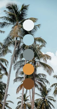 Nature Colours Palette, Adventurous Color Palette, Chill Color Palette, Vintage Summer Color Palette, Editorial Color Palette, Branding Colors Palette, Yoga Color Palette, Fitness Color Palette, Surf Color Palette