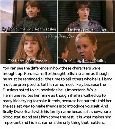 Harry Potter Spells List, Harry Potter Print, Funny Harry Potter Jokes, Harry Potter Puns, Potter Facts, Harry Potter Tumblr, Harry Potter Headcannons, Harry Potter Collection, Harry Potter Facts