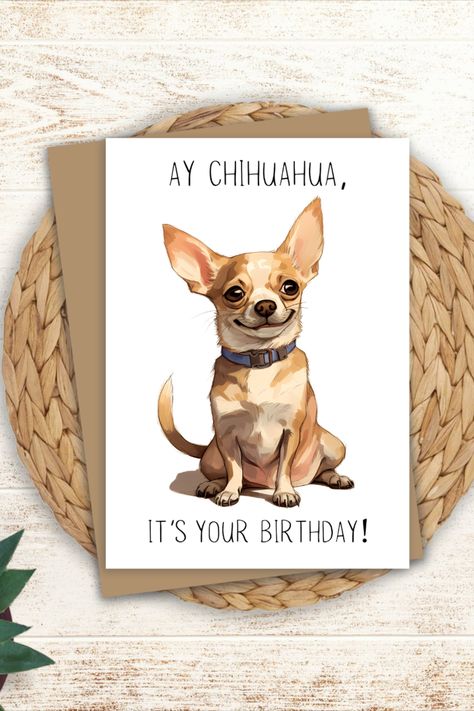 Happy Birthday Chihuahua, Chihuahua Birthday, Dog Birthday Card, Funny Pun, Cute Chihuahua, Chihuahua Dog, Chihuahua Dogs, It's Your Birthday, Dog Birthday