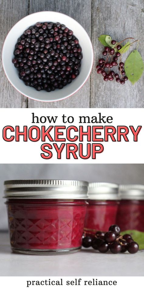 Chokecherry Syrup Recipe Without Pectin - Homemade chokecherry syrup is a simple way to preserve chokecherries with minimal effort. No need to pit the fruit, just extract the juice, add sugar, and enjoy. This simple wild fruit syrup will keep in the refrigerator a few weeks, but canning is recommended for long term food storage. preserving fruit | canning for beginners | how to make chokecherry syrup Aronia Berry Recipes, Fruit Syrup Recipe, Canning Syrup, Chokecherry Syrup, Chokecherry Jelly, Canning For Beginners, Preserving Fruit, Preserving Vegetables, Pulp Recipe