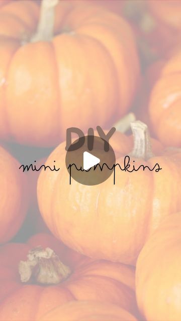 Crafts For Families, Pumpkin Preschool, Pumpkins Preschool, Fall Preschool, Autumn Crafts, Preschool Theme, Pumpkin Crafts, Toddler Learning Activities, Mini Pumpkins