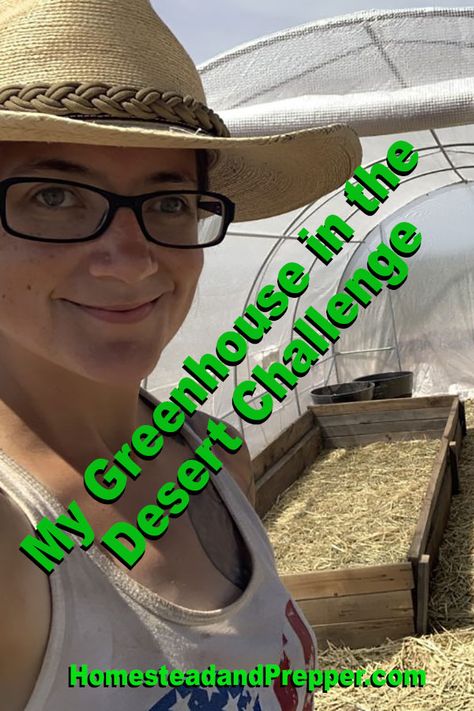 Greenhouse In The Desert, Desert Greenhouse, Desert Gardening, Best Greenhouse, Outdoor Greenhouse, Desert Climate, Large Greenhouse, Zone 10, Build A Greenhouse