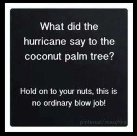 Funny Inappropriate Jokes, Coconut Palm Tree, Humor Inappropriate, Inappropriate Jokes, Funny Funny, Animal Jokes, Funny Stuff, Funny Jokes, Funny Memes