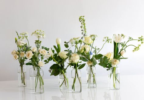 greens that work well in mini bud vases - Yahoo Image Search Results Bud Vase Arrangements, Bud Vases Wedding, Bud Vases Arrangements, Bud Vase Centerpiece, Foliage Arrangements, No Thanks, Wedding Vases, Vase Arrangements, Same Day Flower Delivery